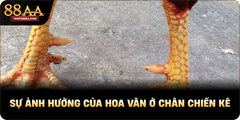 Sự ảnh hưởng của hoa văn ở chân chiến kê